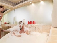 Lady Bug : Lovers enjoy a foamy bath together : sex scene #2